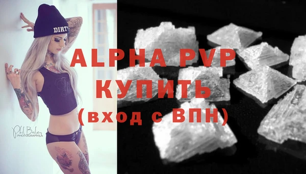 гидра Бородино