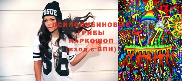 ПСИЛОЦИБИНОВЫЕ ГРИБЫ Верхний Тагил