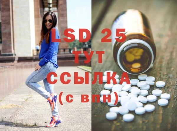 ПСИЛОЦИБИНОВЫЕ ГРИБЫ Верхний Тагил