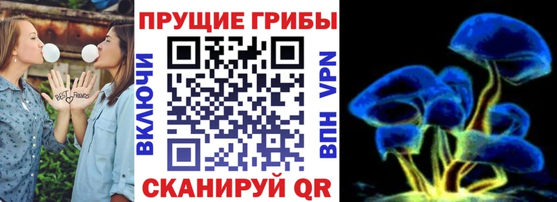 как найти   Вязники  Галлюциногенные грибы ЛСД 